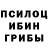 Псилоцибиновые грибы Cubensis Mohamed Abdoo