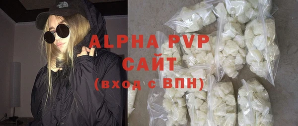 стаф Пересвет