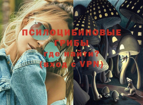стаф Пересвет