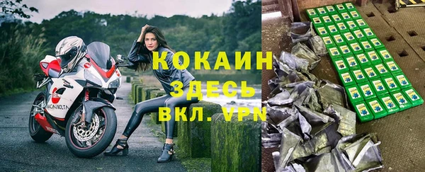 стаф Пересвет