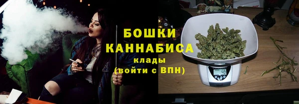 стаф Пересвет