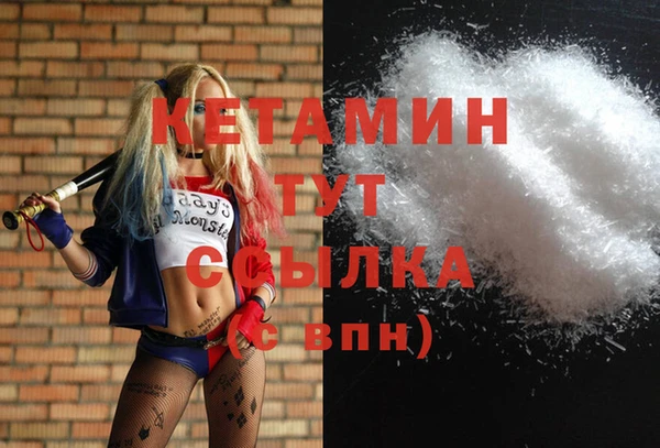 стаф Пересвет