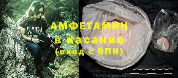 стаф Пересвет