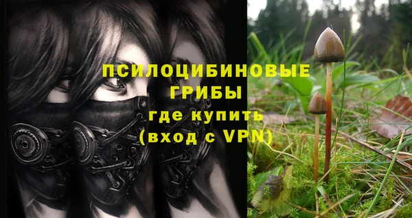 ALPHA PVP Переславль-Залесский