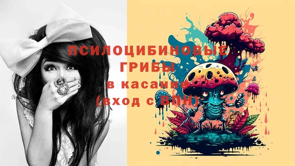 mdpv Пестово