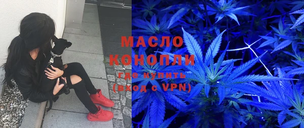 стаф Пересвет