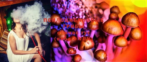 стаф Пересвет