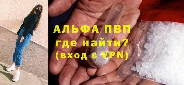 стаф Пересвет