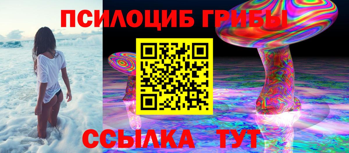 Псилоцибиновые грибы Psilocybine cubensis Абинск