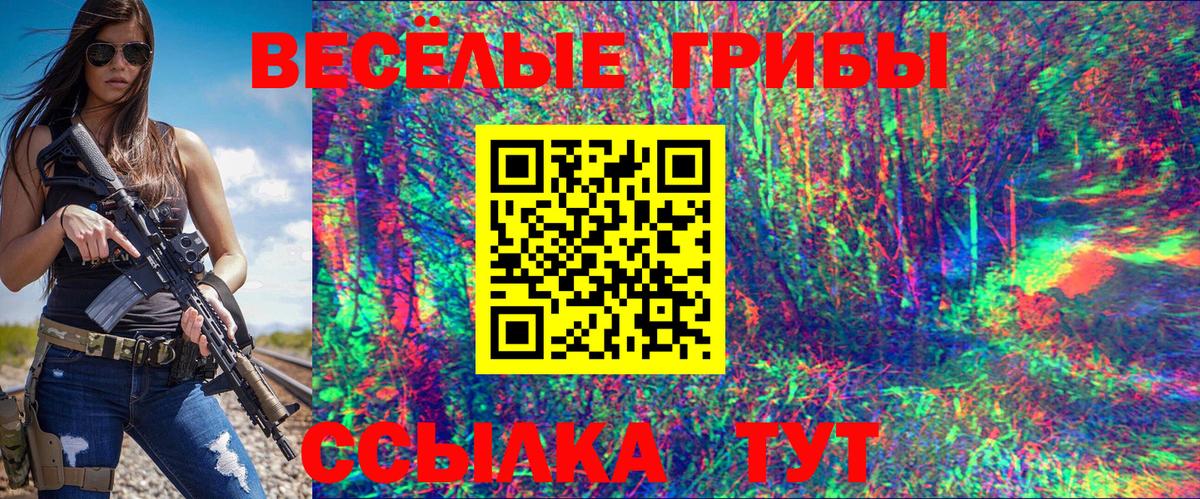 Галлюциногенные грибы GOLDEN TEACHER  Абинск 