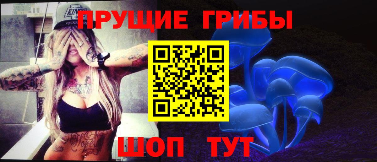 Галлюциногенные грибы Psilocybe  где купить наркоту  Абинск  Вход с VPN  Псилоцибиновые грибы MAGIC MUSHROOMS 