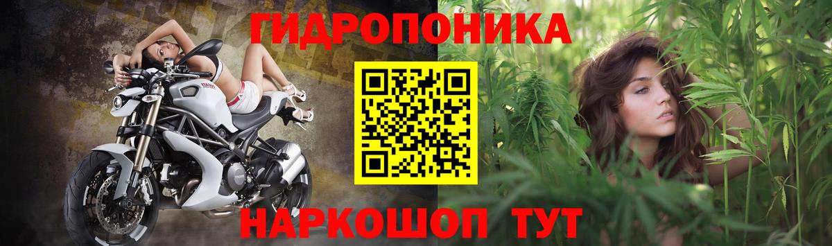 ГАШ Абинск